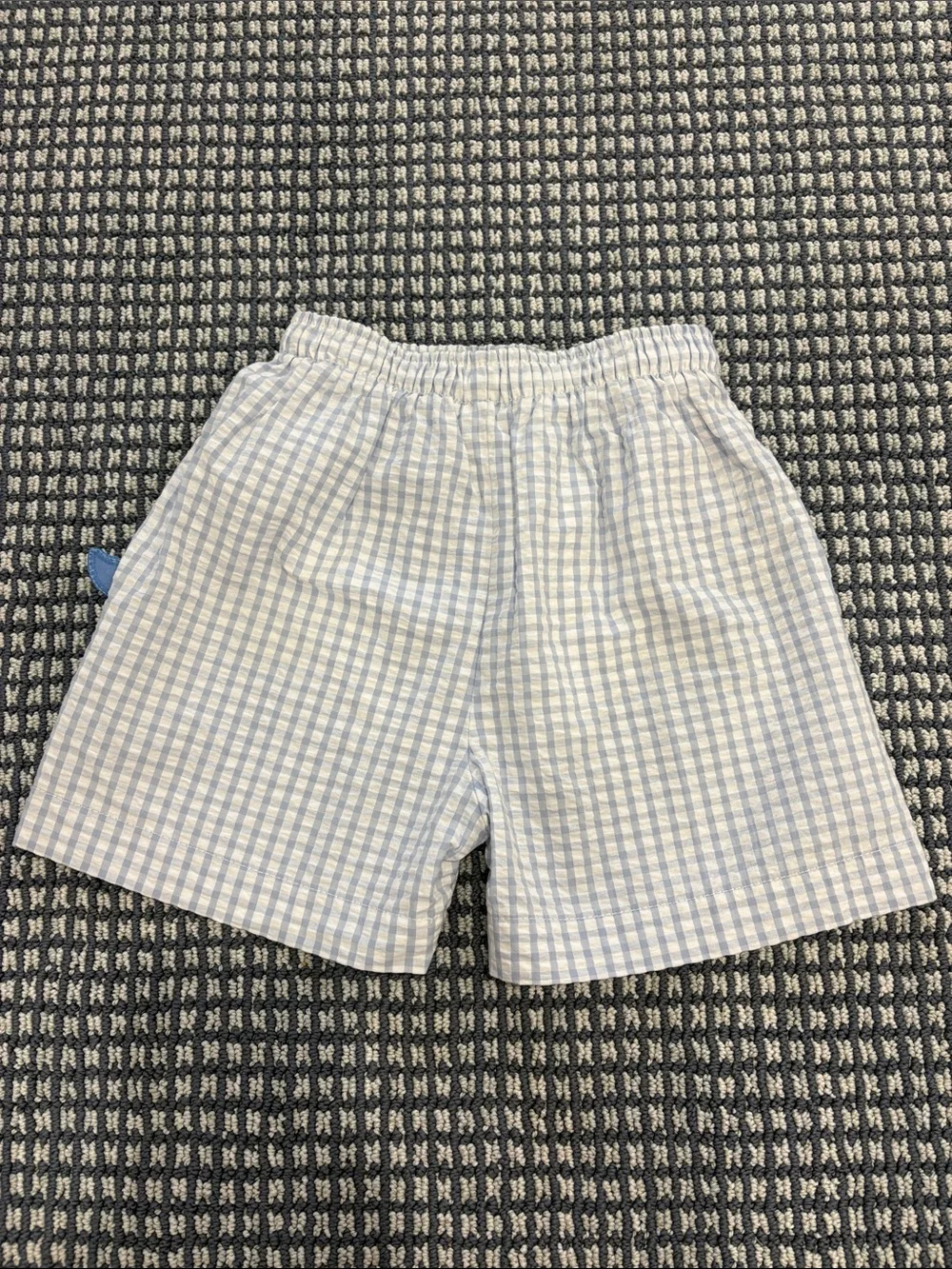 Kids Light Blue Gingham Swim Trunks with Whale Applique